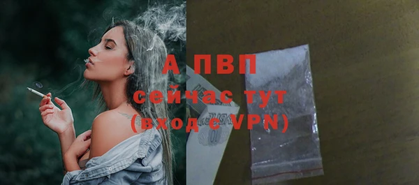 соль ск Сосновый Бор