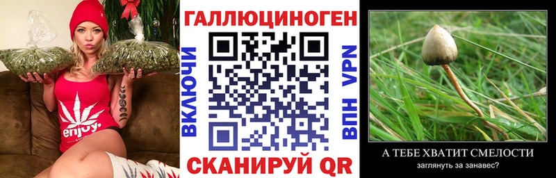 Галлюциногенные грибы мухоморы  kraken рабочий сайт  Мышкин  где можно купить  